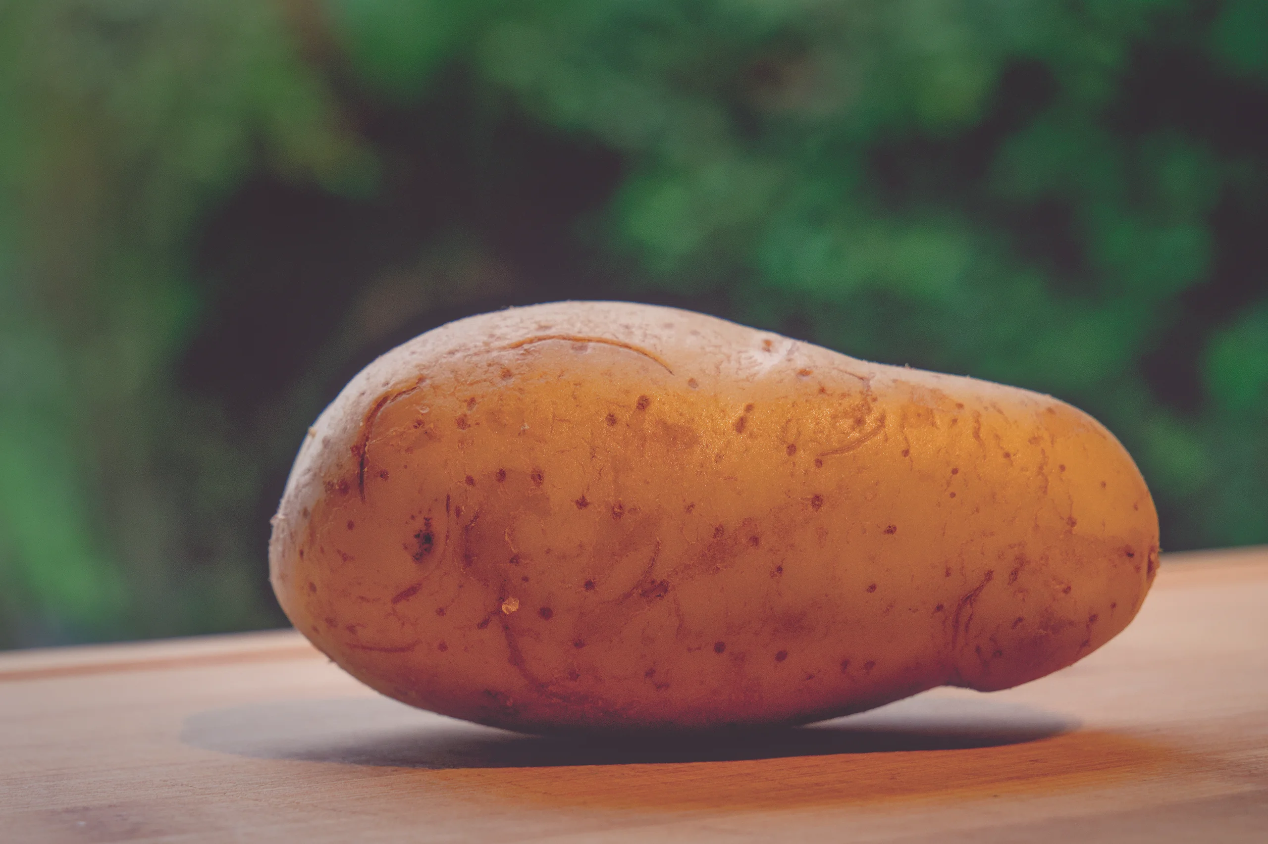 Featured image for “Aligot – Leckere Kartoffelspezialität vom Aubrac”